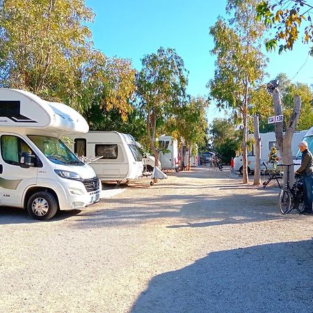 Camping La Naranja Ξενοδοχείο Gandía Εξωτερικό φωτογραφία