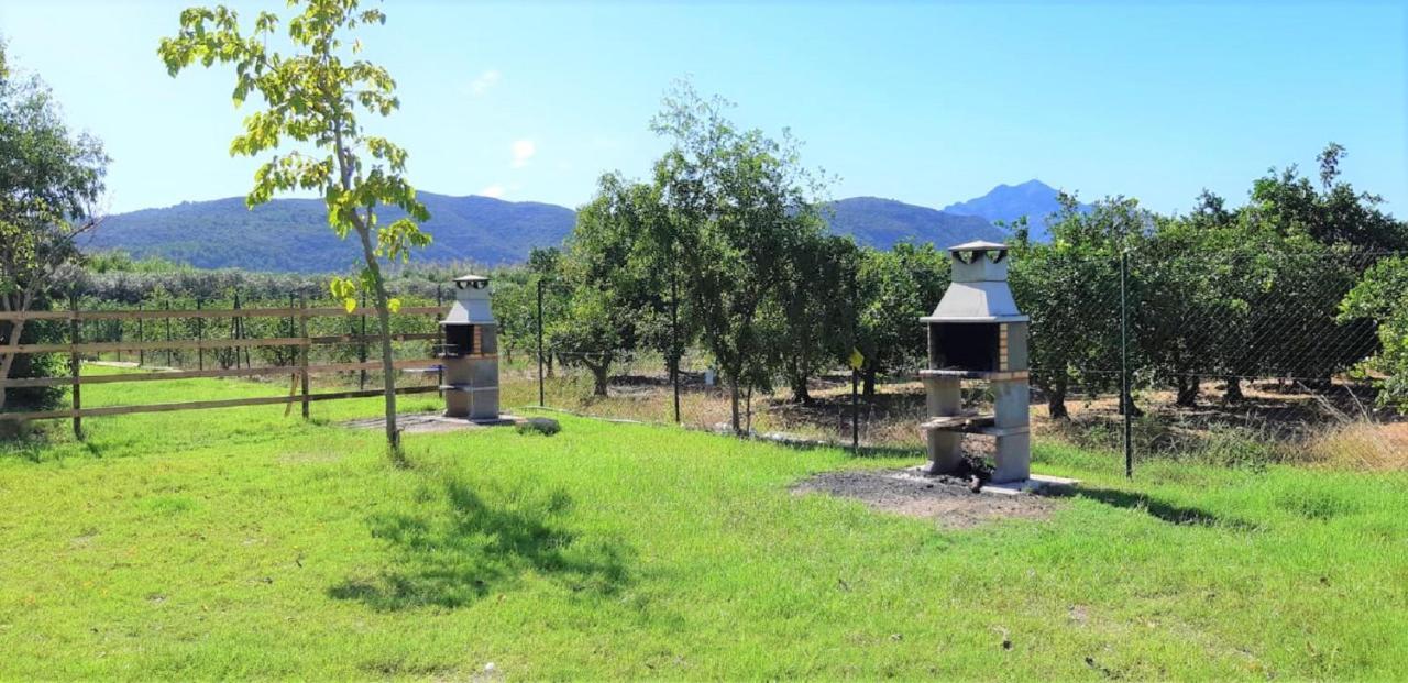Camping La Naranja Ξενοδοχείο Gandía Εξωτερικό φωτογραφία