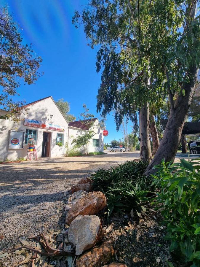 Camping La Naranja Ξενοδοχείο Gandía Εξωτερικό φωτογραφία