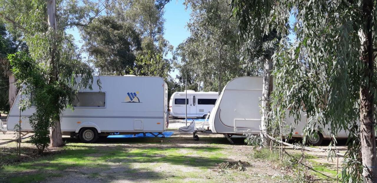 Camping La Naranja Ξενοδοχείο Gandía Εξωτερικό φωτογραφία
