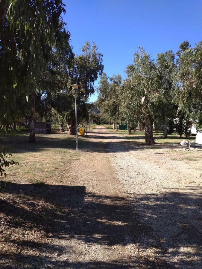 Camping La Naranja Ξενοδοχείο Gandía Εξωτερικό φωτογραφία