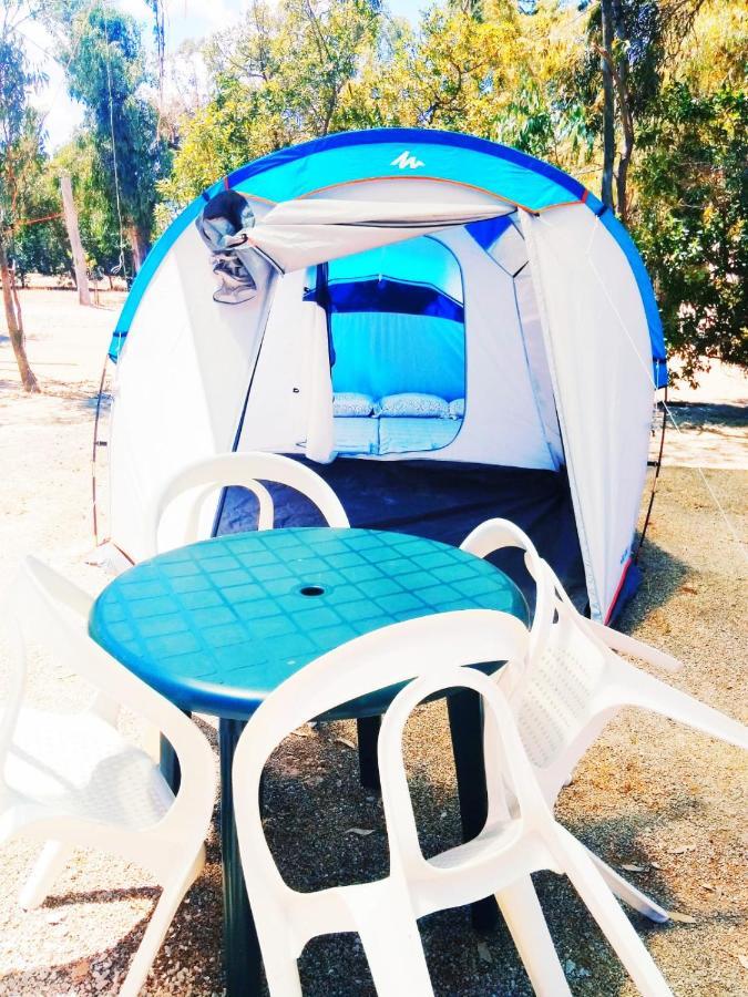 Camping La Naranja Ξενοδοχείο Gandía Εξωτερικό φωτογραφία