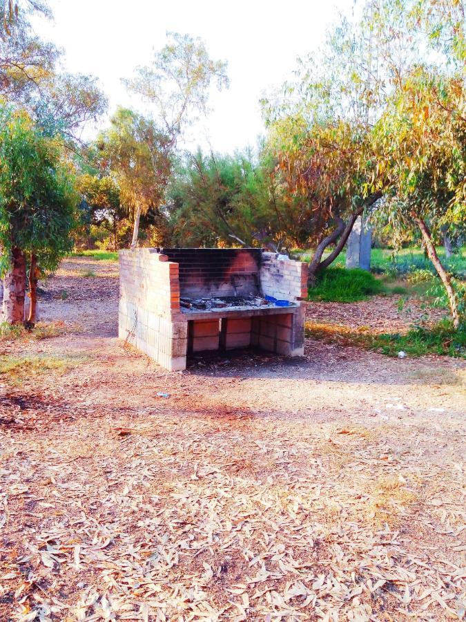 Camping La Naranja Ξενοδοχείο Gandía Εξωτερικό φωτογραφία